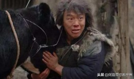 黄渤张元坤最新爆料电影,揭秘电影幕后惊天内幕