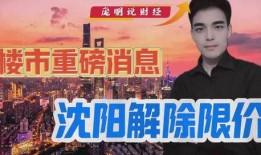 沈阳楼市爆料最新消息,揭秘房价走势与政策调整