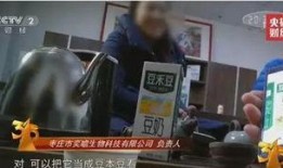 视频爆料食品怎么处罚最新,最新处罚措施全解析