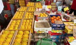 海南水果市场爆料案件最新,揭露背后利益链与食品安全危机